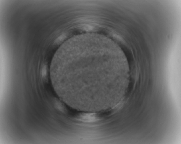 X0000086030132200704091139