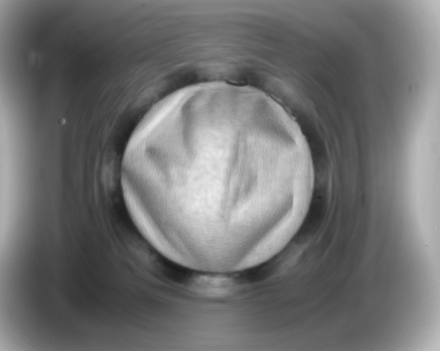 X0000086030133200704091139