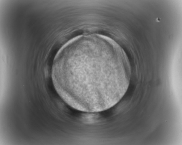 X0000086030135200704091139