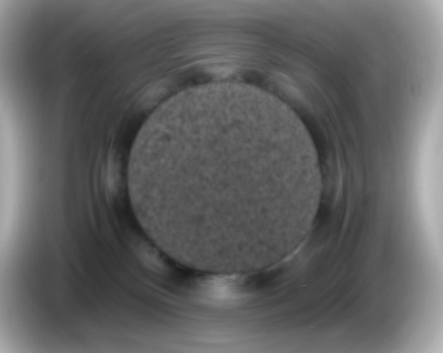 X0000086030136200704091139