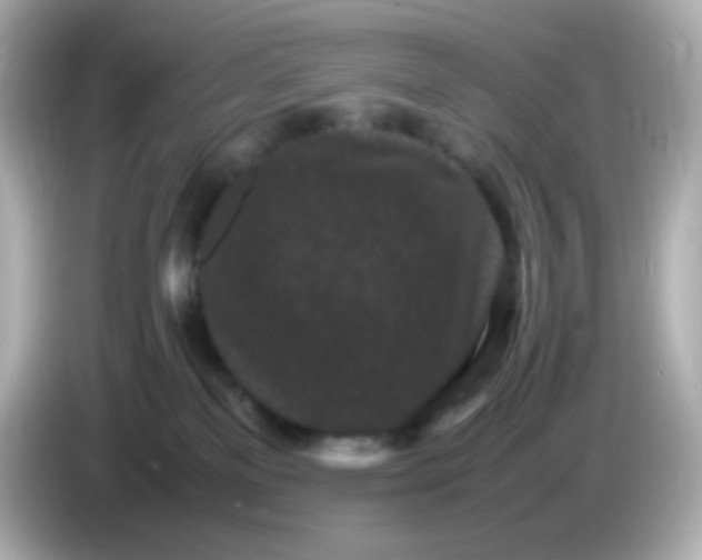 X0000086030137200704091139