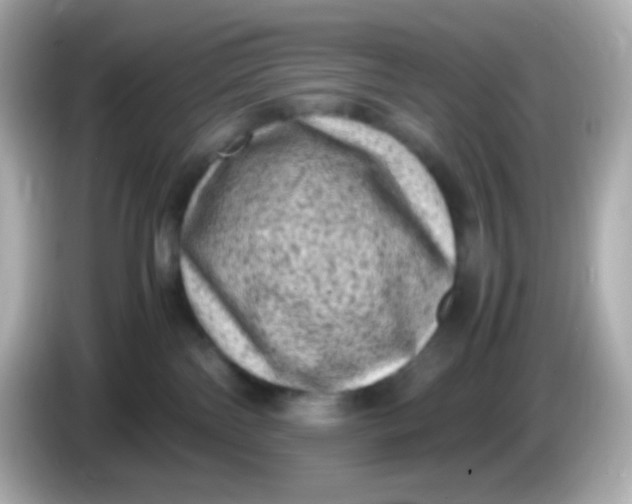 X0000086030138200704091139