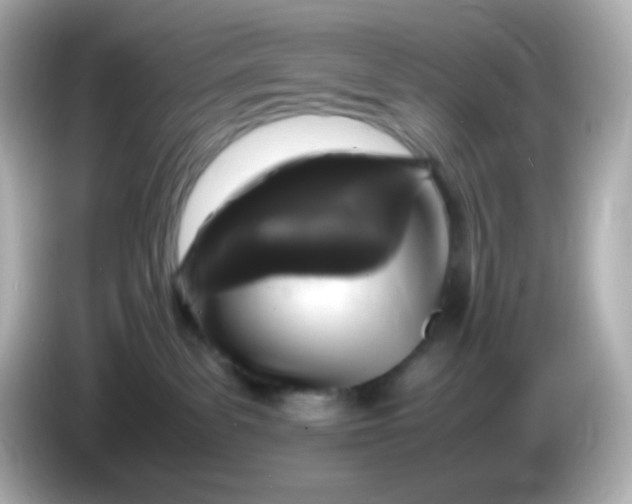 X0000086030139200704091139