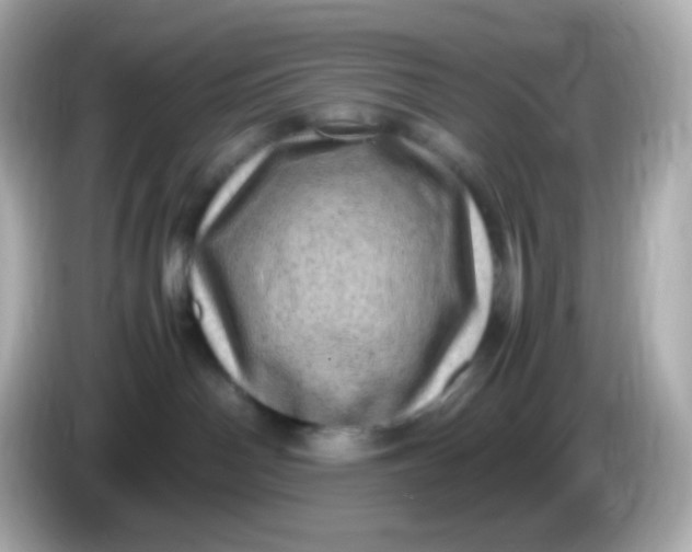 X0000086030142200704091139