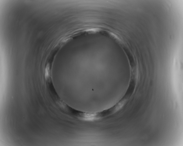 X0000086030143200704091139