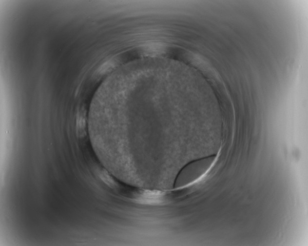 X0000086030144200704091139