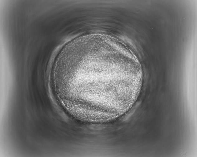 X0000086030145200704091138