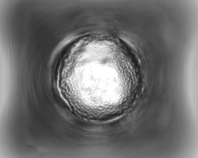 X0000086030149200704091138