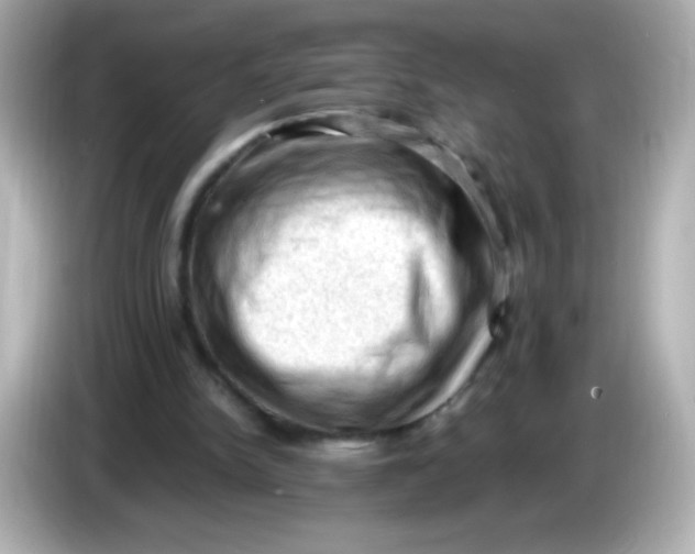 X0000086030150200704091139