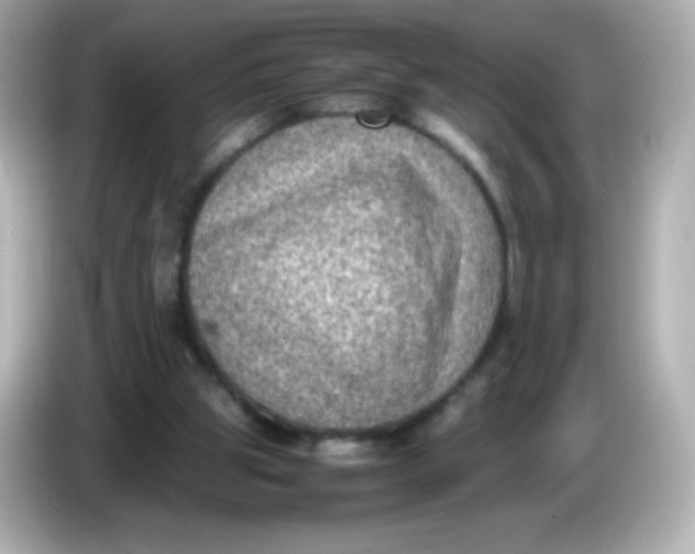 X0000086030153200704091139