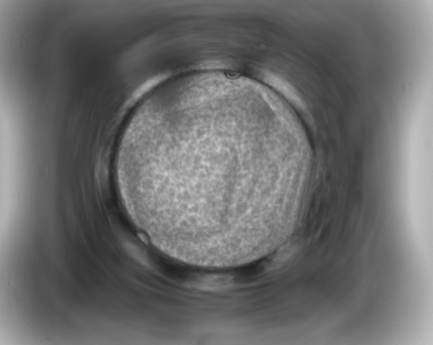 X0000086030155200704091139