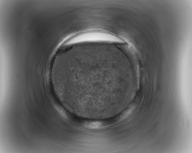 X0000086030156200704091139