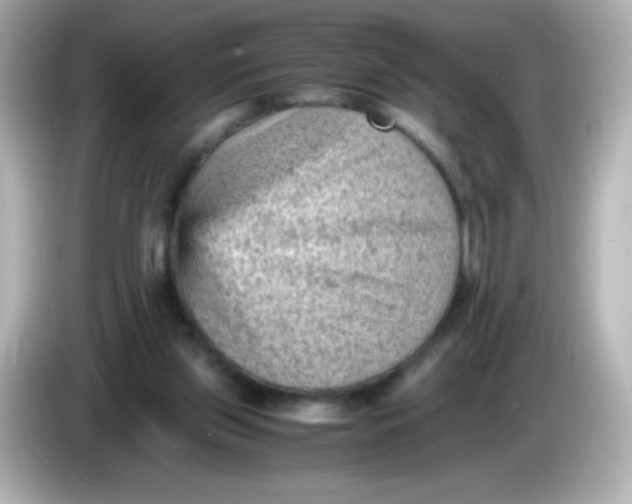 X0000086030157200704091139