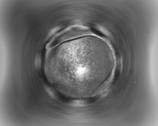 X0000086030158200704091139