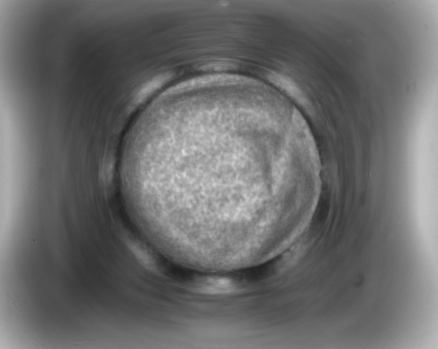 X0000086030159200704091139