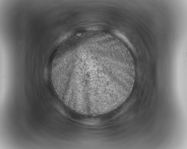 X0000086030161200704091139