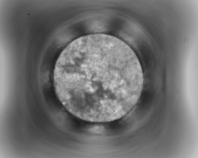 X0000086030162200704091139