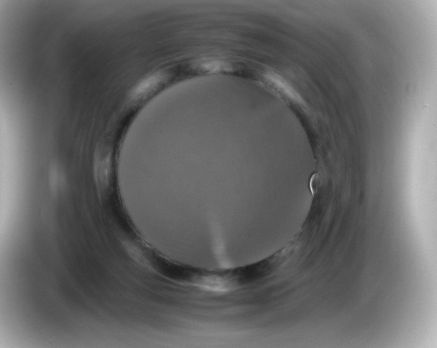 X0000086030163200704091139