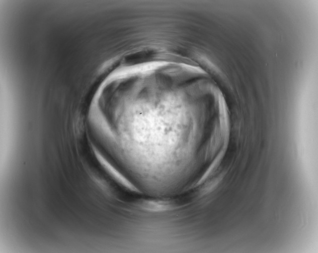 X0000086030164200704091139