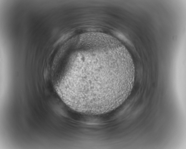 X0000086030165200704091139