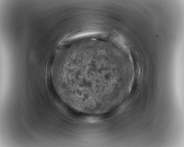 X0000086030168200704091139