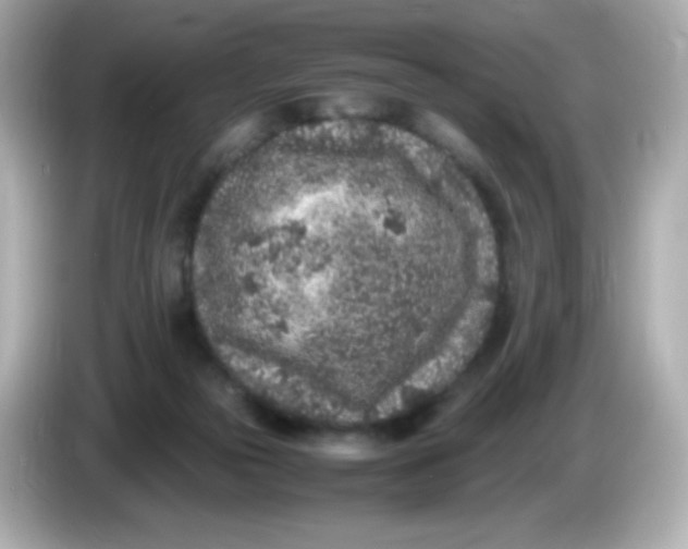 X0000086030169200704091139