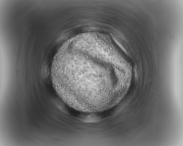 X0000086030173200704091139