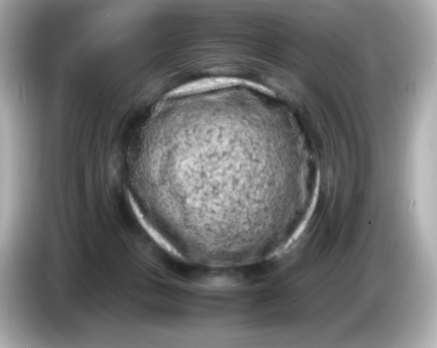 X0000086030175200704091139