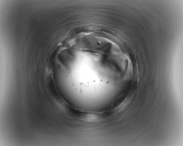 X0000086030176200704091139