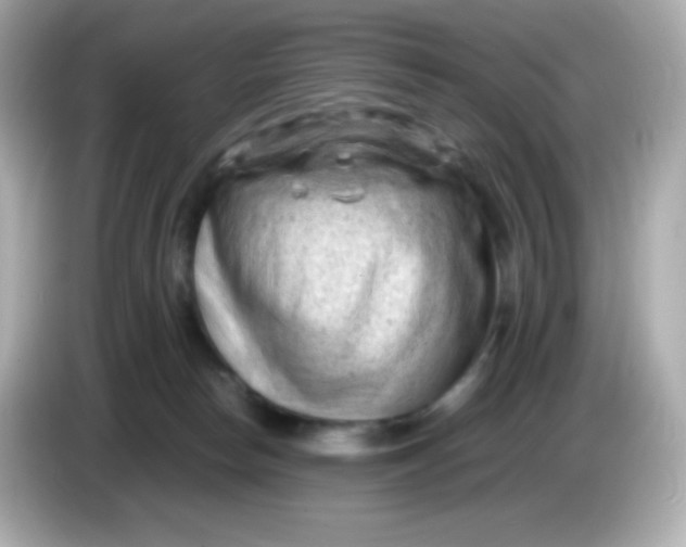 X0000086030178200704091139