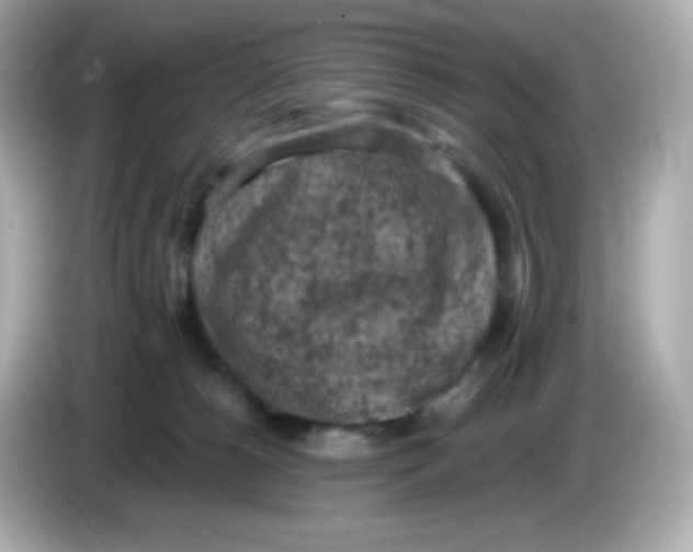 X0000086030180200704091139