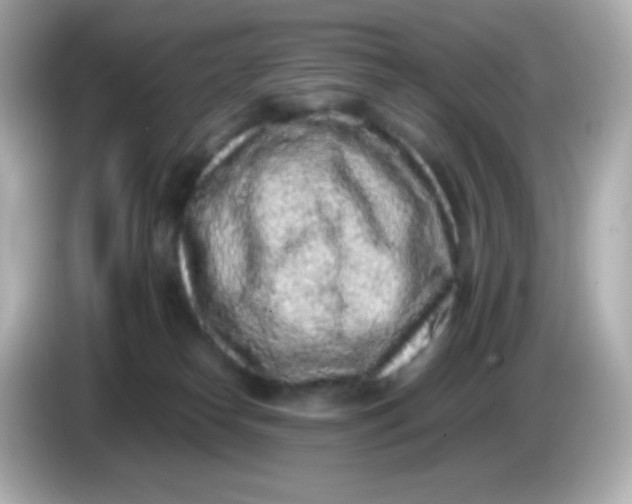 X0000086030182200704091139