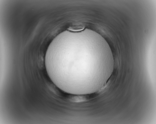 X0000086030183200704091139