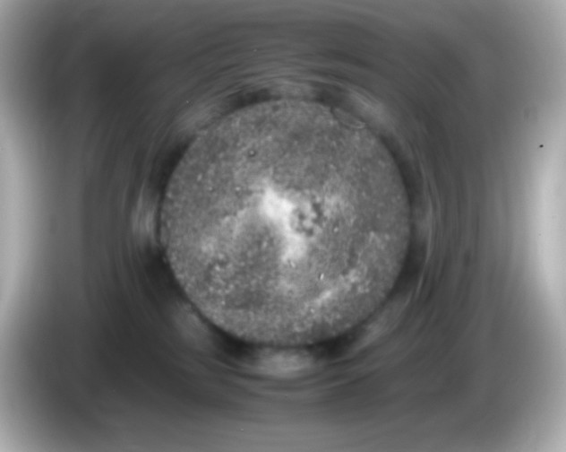 X0000086030185200704091139