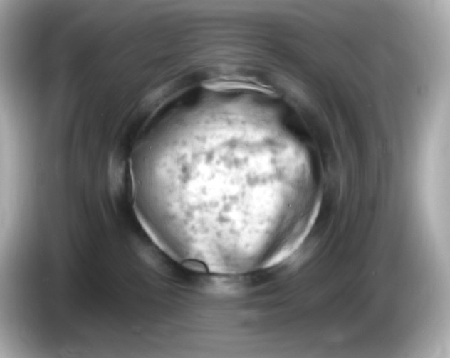 X0000086030188200704091139