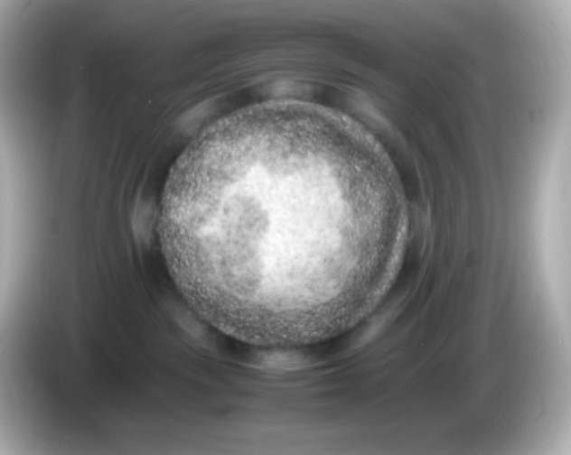 X0000086030189200704091139