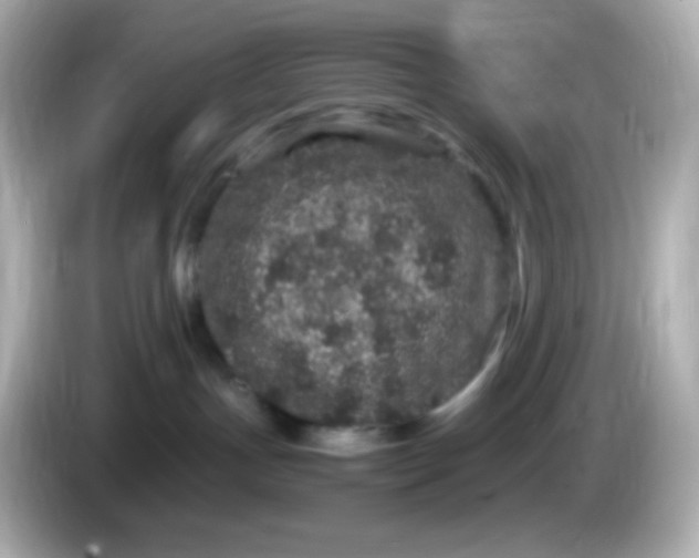 X0000086030191200704091139