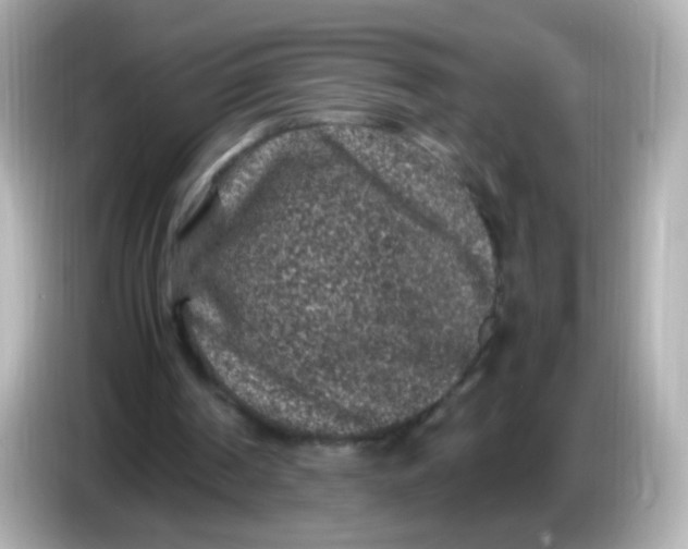 X0000086030194200704091138