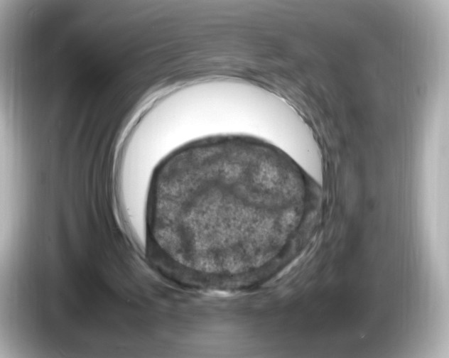 X0000086030195200704091138