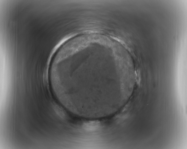 X0000086030196200704091138