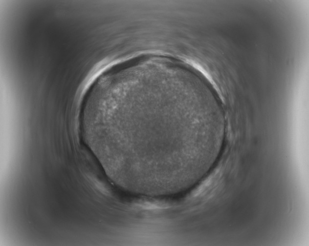 X0000086030199200704091138