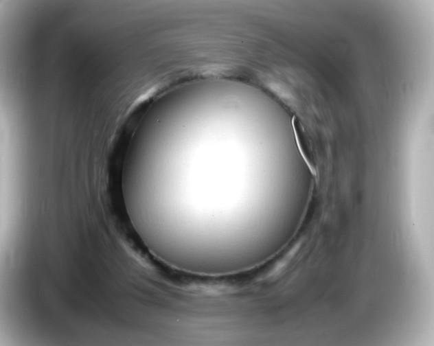 X0000086030201200704091138