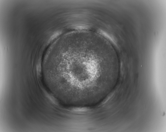 X0000086030202200704091138