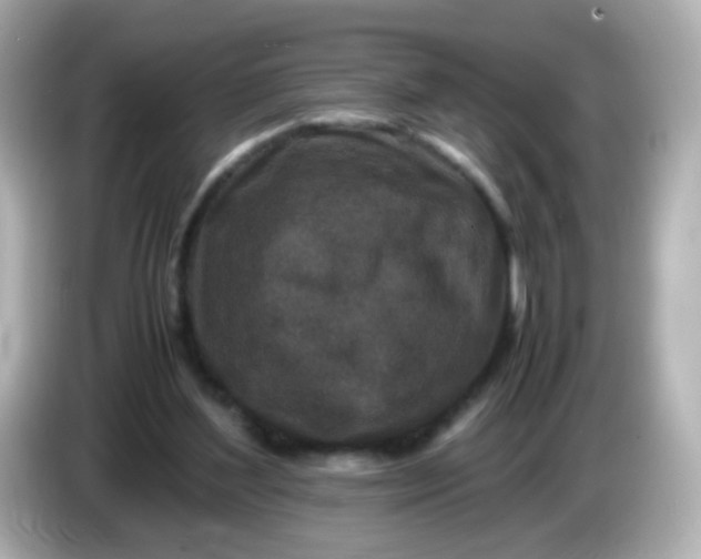 X0000086030204200704091138