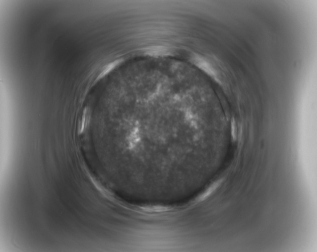 X0000086030205200704091138