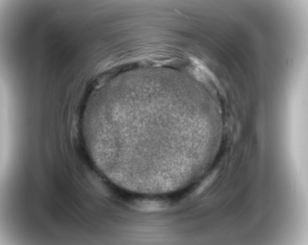 X0000086030209200704091138