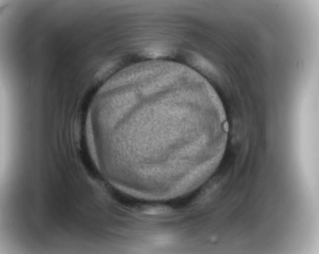 X0000086030210200704091138