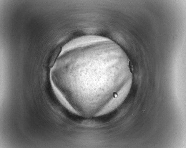 X0000086030211200704091138