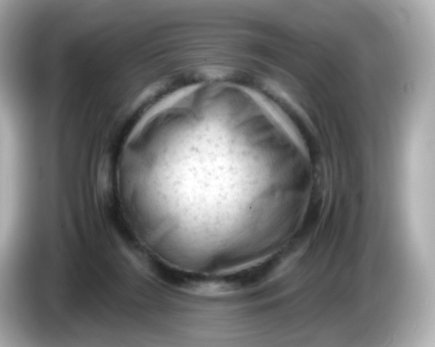 X0000086030212200704091138