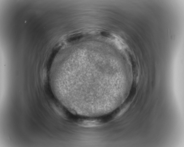 X0000086030213200704091138